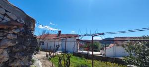 Fotografia z galérie ubytovania House "Olive Tree" v destinácii Vinišće