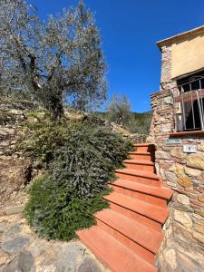 Fotografie z fotogalerie ubytování Agriturismo Campo dei Lupi v destinaci Vicopisano