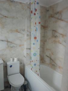 uma casa de banho com um WC, uma banheira e um WC. em Cazare Paiu VasiVasi em Vaslui