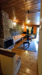 ein Wohnzimmer mit einem Sofa und einem Kamin in der Unterkunft Traditional cozy apartments in Livadi Parnassos in Kalívia