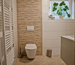 a bathroom with a toilet and a window at Apartment Activity in Radomlje