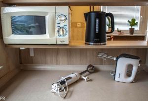 encimera de cocina con microondas y licuadora en Apartment Activity, en Radomlje