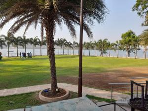 a palm tree in a park next to the water at Aquarius Resort in Pune