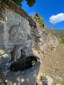 Fotografie z fotogalerie ubytování Agriturismo Campo dei Lupi v destinaci Vicopisano