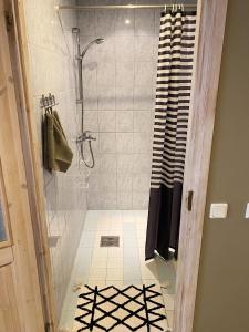 y baño con ducha y cortina de ducha. en Kolme Venna Villa, en Pärnu