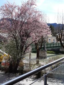 un árbol con flores rosas junto a una valla en Apartment-Zimmer KRISTALL - großer Balkon und Parkplatz direkt im Zentrum, en Bad Ischl