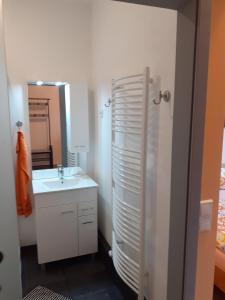een badkamer met een wastafel en een spiegel bij Altstadtidylle Allerheiligen in Erfurt