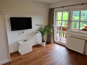 維爾德舍瑙的住宿－Ferienwohnung Zauberwinkelweg mit Traum-Aussicht!，客厅配有平面电视和植物