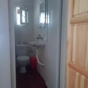 a bathroom with a toilet and a sink at Mercury Guest House in Veliko Tŭrnovo