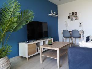 uma sala de estar com televisão e uma parede azul em Aux 4 bleutées em Nice
