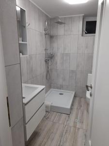 a bathroom with a shower and a sink and a toilet at Casa Morarului in Buşteni