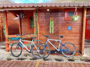 Катання на велосипеді по території Clisura Dunarii Casutele Danca або околицях