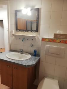 a bathroom with a sink and a toilet and a mirror at Gästehaus Ochsenhof in Feuchtwangen +31 photos