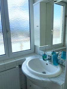 a bathroom with a sink and a mirror and two windows at Apartment Birnbaum in Wals