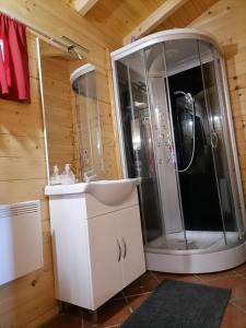 uma casa de banho com um chuveiro e um lavatório. em Apartma Suzy em Pobegi