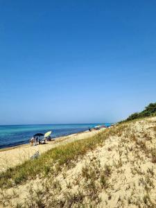 Táj Show holiday homes közelében