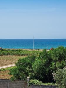Táj Show holiday homes közelében