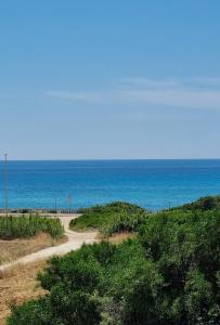 Táj Show holiday homes közelében