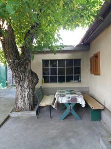 錫比烏的住宿－Guest House - Wai derhim，树旁的一张桌子和两把椅子