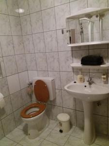 a bathroom with a toilet and a sink at Guest House - Wai derhim in Sibiu