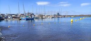 un port de plaisance avec beaucoup de bateaux dans l'eau dans l'établissement Sunny Harbour, à Arona