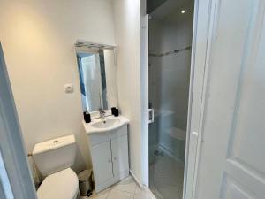 un bagno con wc, lavandino e doccia di Face Chateau de Chaumont sur loire Gîte La Rapinière a Onzain