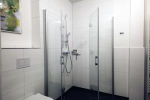 a bathroom with a shower and a toilet at Ferienwohnung Kerst in Schweigen-Rechtenbach