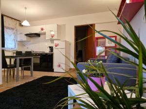 a living room with a blue couch and a kitchen at Apartman Sandro in Motovun