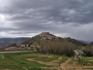a house on top of a hill in a field at Apartman Sandro in Motovun