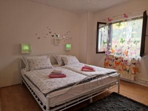 Gallery image of Apartman Sandro in Motovun