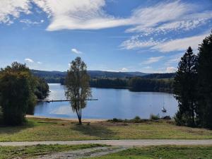 Photo de la galerie de l'établissement Apartmány Sunny hill, à Frymburk