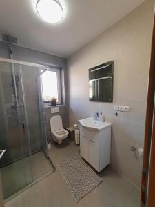 uma casa de banho com um chuveiro, um WC e um lavatório. em Apartmány Sunny hill em Frymburk