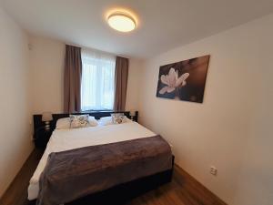 Galería fotográfica de Apartmány Sunny hill en Frymburk