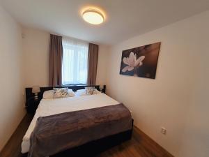 sypialnia z łóżkiem i oknem w obiekcie Apartmány Sunny hill w mieście Frymburk