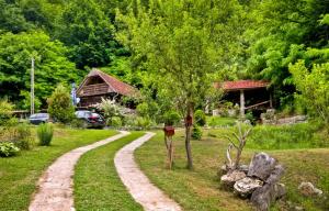 Příroda nedaleko prázdninového domu