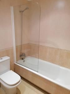a bathroom with a shower and a toilet and a tub at Precioso apartamento con piscina y jardín frente a la Toja in O Grove