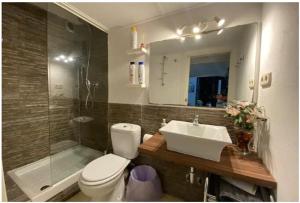 uma casa de banho com um WC, um lavatório e um chuveiro em ILE BUENA VISTA EXTERIO em Madri