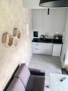 Kuchyňa alebo kuchynka v ubytovaní Domki za Wyspą