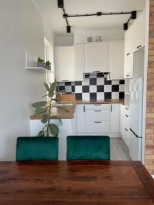 Kuchyňa alebo kuchynka v ubytovaní Apartament Dziewiątka + 21 fotografií