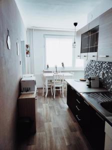 Kuchyň nebo kuchyňský kout v ubytování Apartmán Domov Děčín