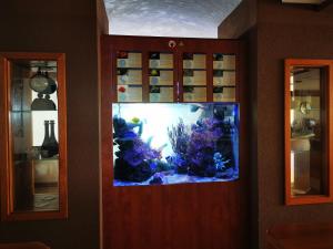 TV o dispositivi per l'intrattenimento presso Hotel Apollon Rust