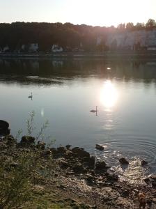 two birds swimming in a lake with the sun setting at Maison normande au bord de Seine, Le Verger de Pacôme in Anneville-Ambourville +23 photos