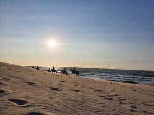 a group of people riding horses on the beach at Beachhouse Renesse 2645 in Renesse