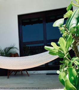 Fotografie z fotogalerie ubytování Mis Sueños Holbox v destinaci Ostrov Holbox