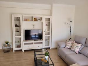 ein Wohnzimmer mit einem Sofa und einem TV in der Unterkunft Marbella Centro in Marbella