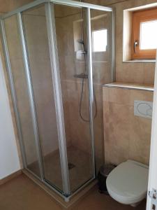 a shower in a bathroom with a toilet at Casa Panoramic in Turda