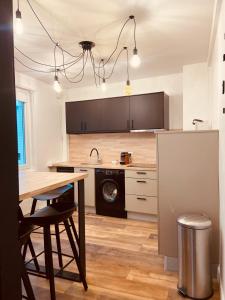 蓬塔利耶Appartement 2 chambres avec terrasse vue sur jardin arboré的厨房配有桌子、水槽和洗碗机。