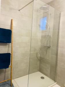 蓬塔利耶Appartement 2 chambres avec terrasse vue sur jardin arboré的浴室里有玻璃门的淋浴间