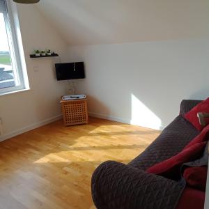 sala de estar con sofá y TV en Appartement Calme Et Lumineux en Radinghem-en-Weppes