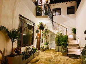 une cour avec des plantes en pot sur le côté d'un bâtiment dans l'établissement Apartamento Rincón de los Olivos, à Villa de Leyva